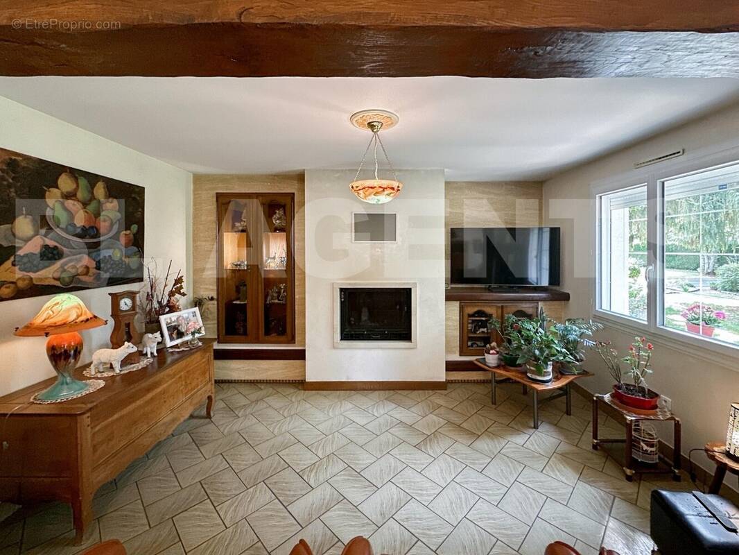 IMG_7889 - Maison à LAIGNE-EN-BELIN