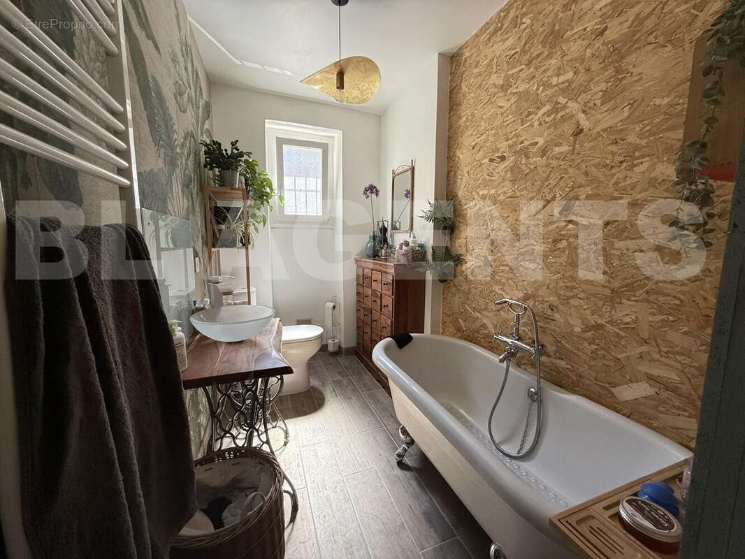 IMG_2846 - Maison à AIGUEFONDE