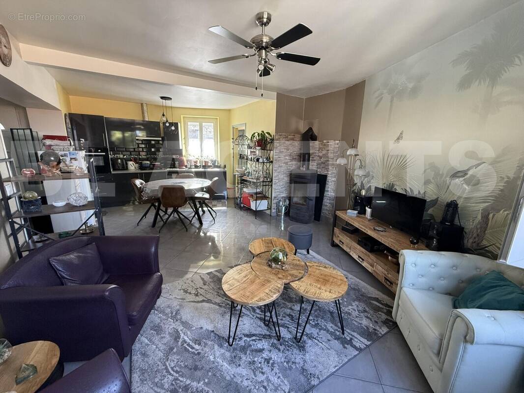 IMG_2852 - Maison à AIGUEFONDE