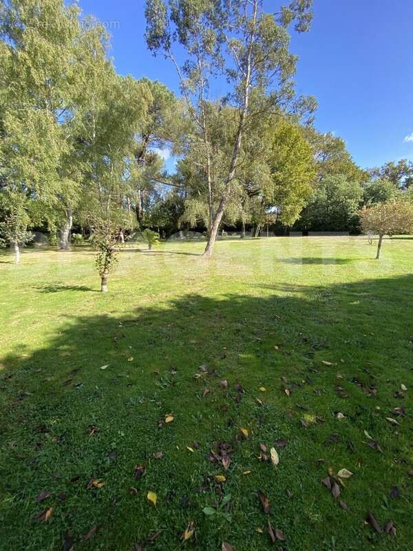 3 - Maison à SAINT-NICOLAS-DE-REDON