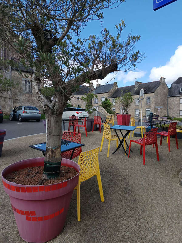 Commerce à COLLINEE