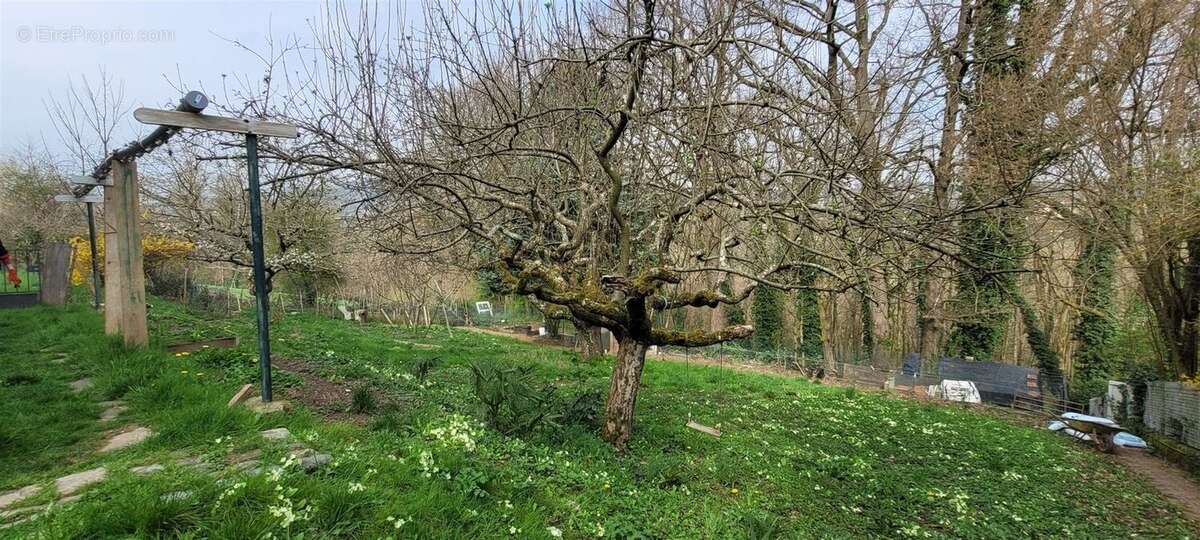 Appartement à LIMONEST