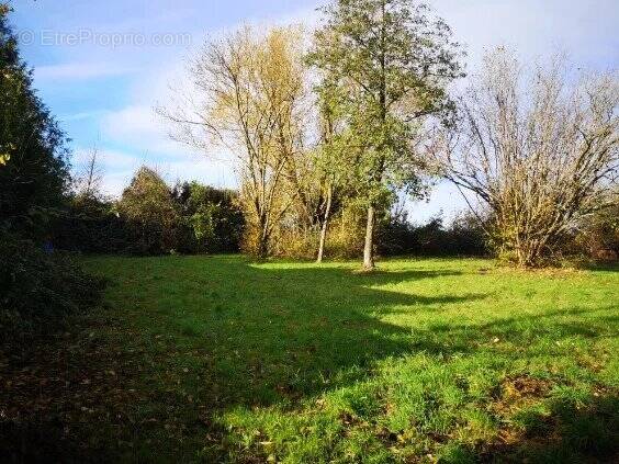 Terrain à CHEZY-SUR-MARNE