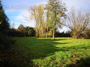 Terrain à CHEZY-SUR-MARNE