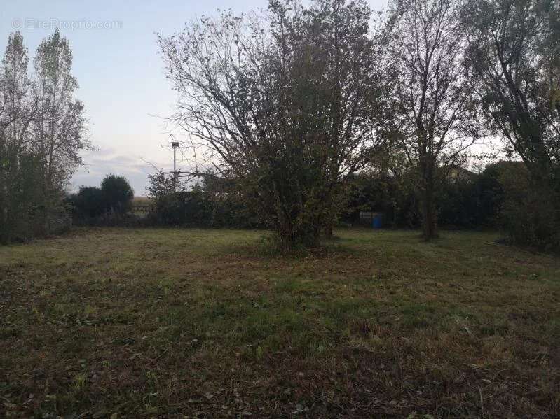 Terrain à CHEZY-SUR-MARNE