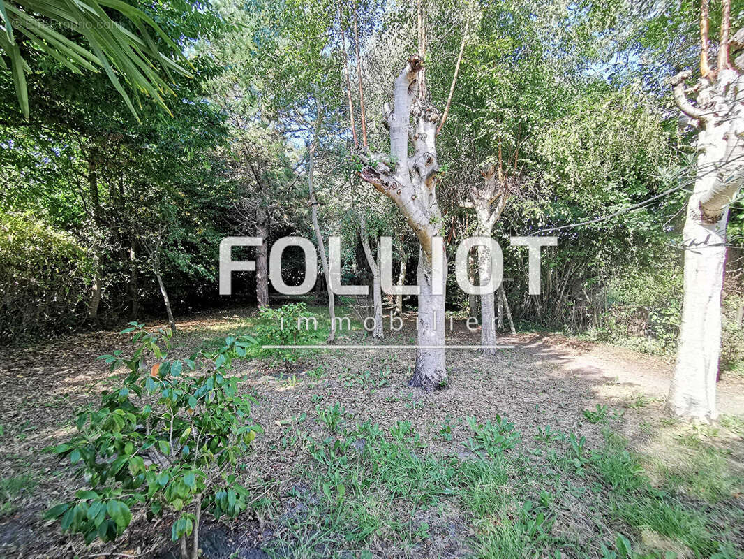 Maison à SAINT-JEAN-LE-THOMAS