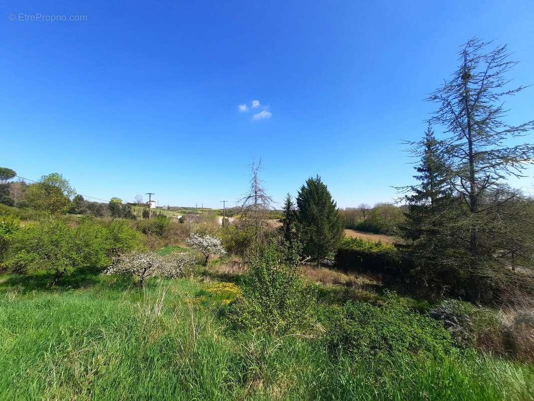 Maison à MONFLANQUIN