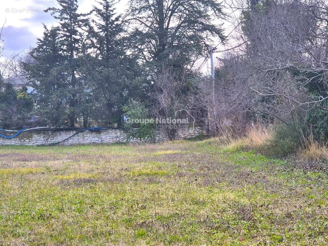 Terrain à MALEMORT-DU-COMTAT