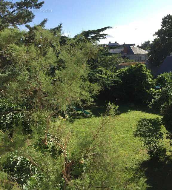 Maison à JOUE-LES-TOURS