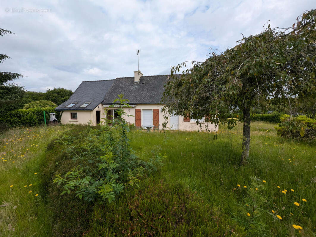 Maison et jardin - Maison à PLOERDUT