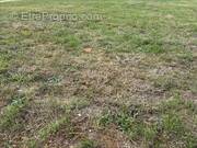 Terrain à LES DAMPS