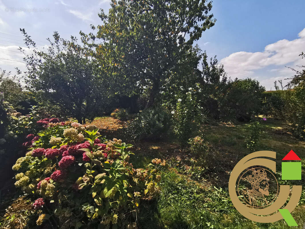 Maison à AUCHY-LES-HESDIN