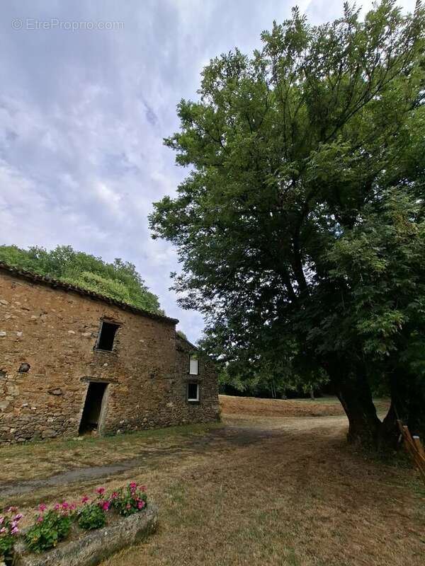 Maison à MONTREDON-LABESSONNIE