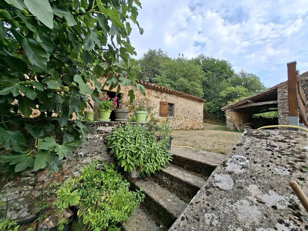 Maison à MONTREDON-LABESSONNIE