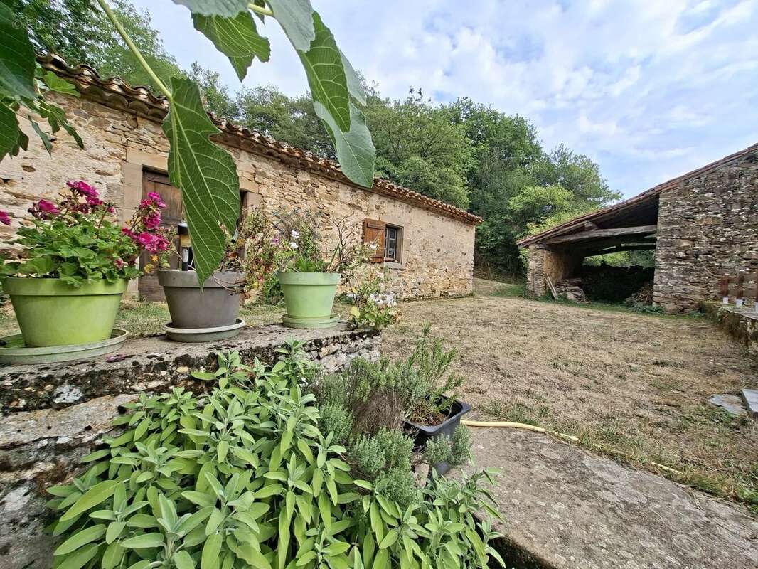 Maison à MONTREDON-LABESSONNIE