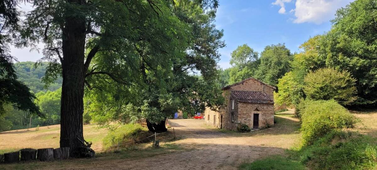 Maison à MONTREDON-LABESSONNIE