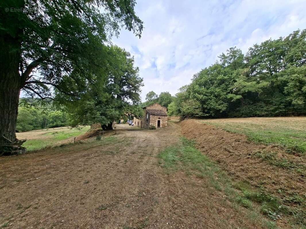 Maison à MONTREDON-LABESSONNIE