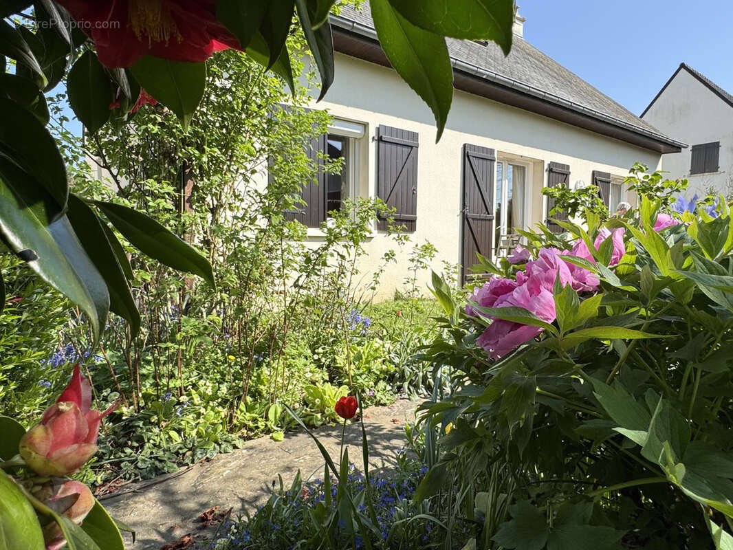 Maison à CESSON-SEVIGNE