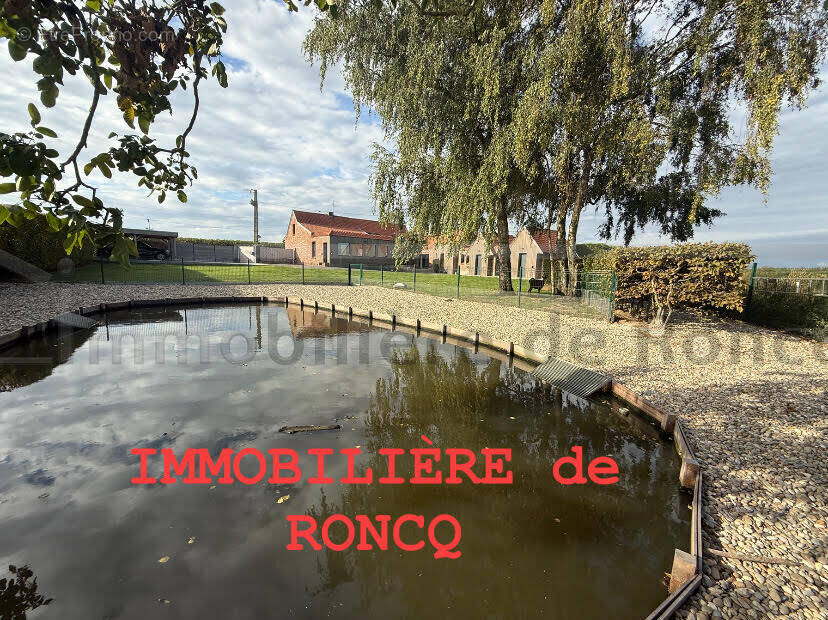 Maison à BOUSBECQUE