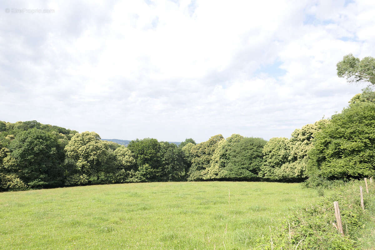 Maison à JUVIGNY-LE-TERTRE