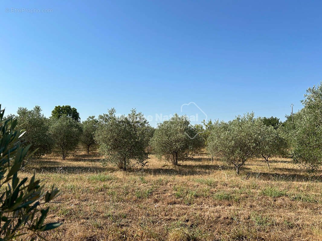 Maison à CARPENTRAS