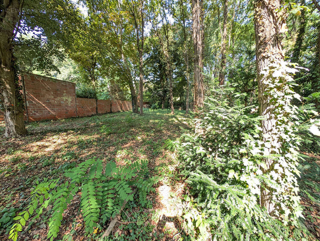 Terrain à LIZY-SUR-OURCQ