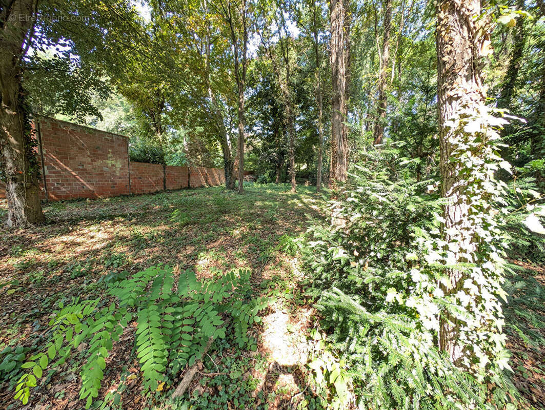 Terrain à LIZY-SUR-OURCQ