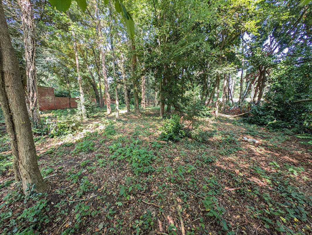 Terrain à LIZY-SUR-OURCQ