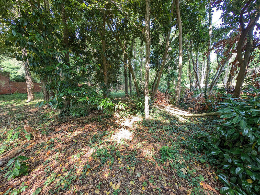 Terrain à VARREDDES