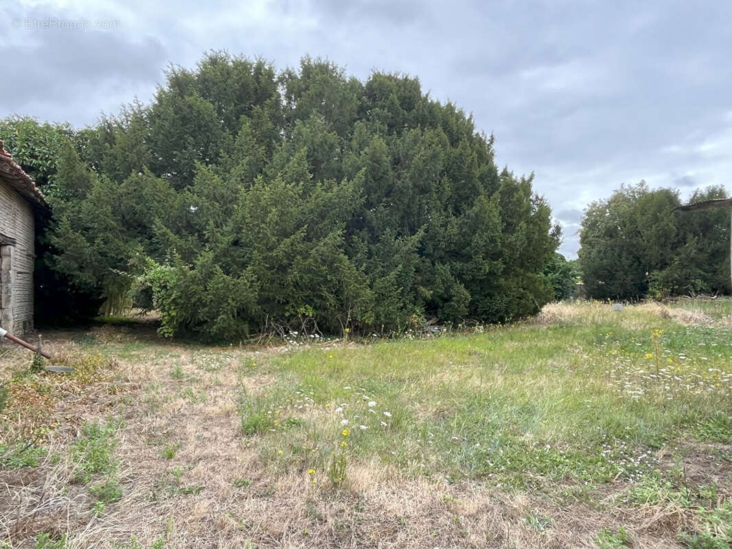 Maison à CEAUX-EN-LOUDUN