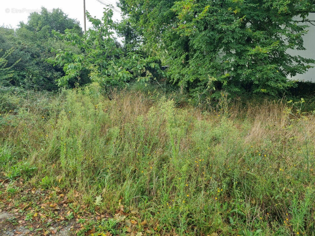 Photo 1 - Terrain à LA BAULE-ESCOUBLAC