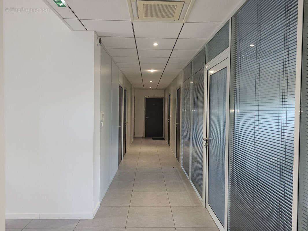 Commerce à REMOUILLE