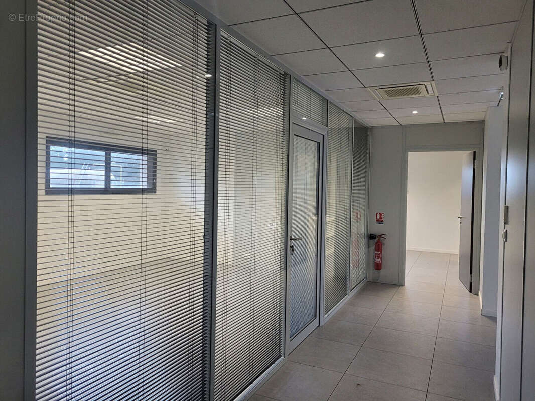 Commerce à REMOUILLE