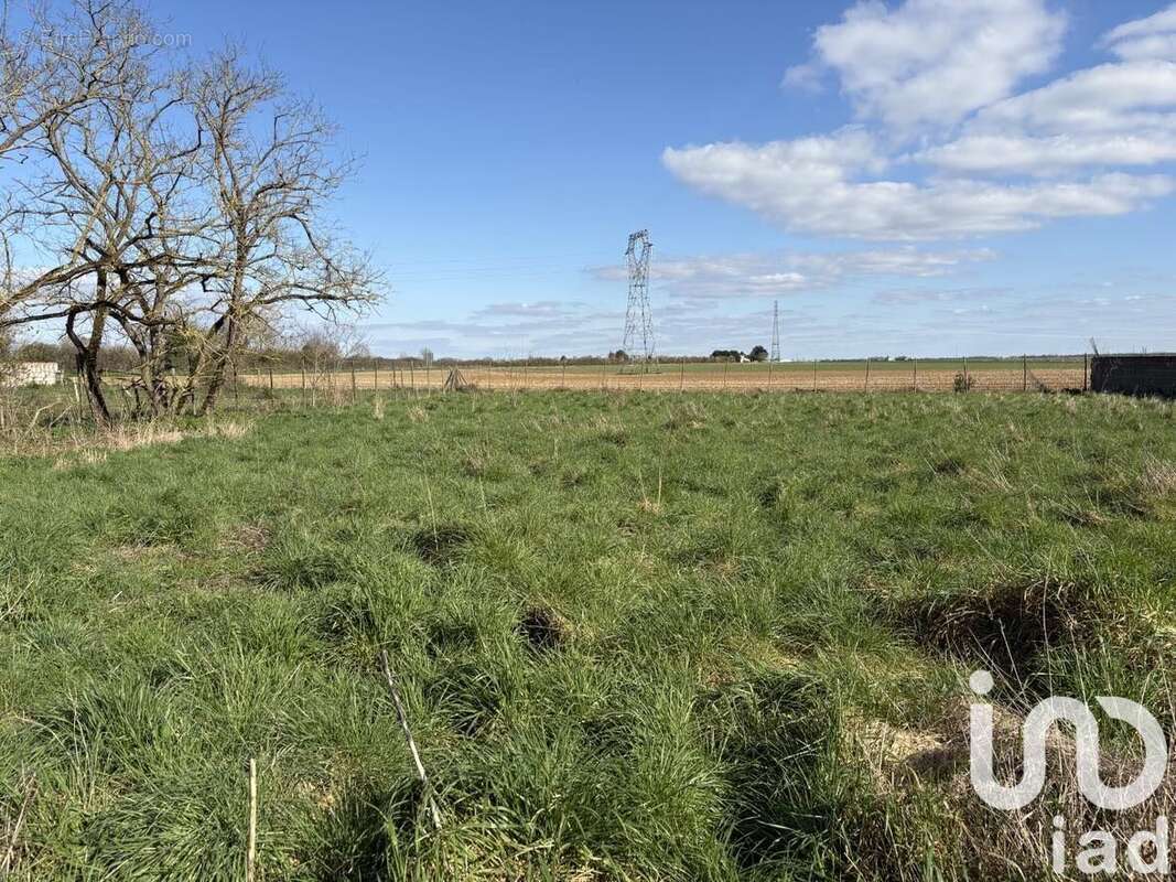 Photo 2 - Terrain à CHARRON