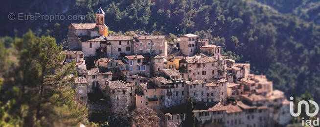 Photo 1 - Appartement à PEILLON