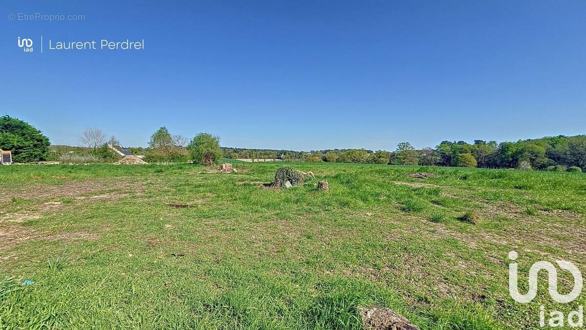 Photo 1 - Terrain à ALLAIRE