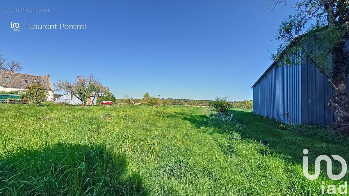 Photo 2 - Terrain à ALLAIRE