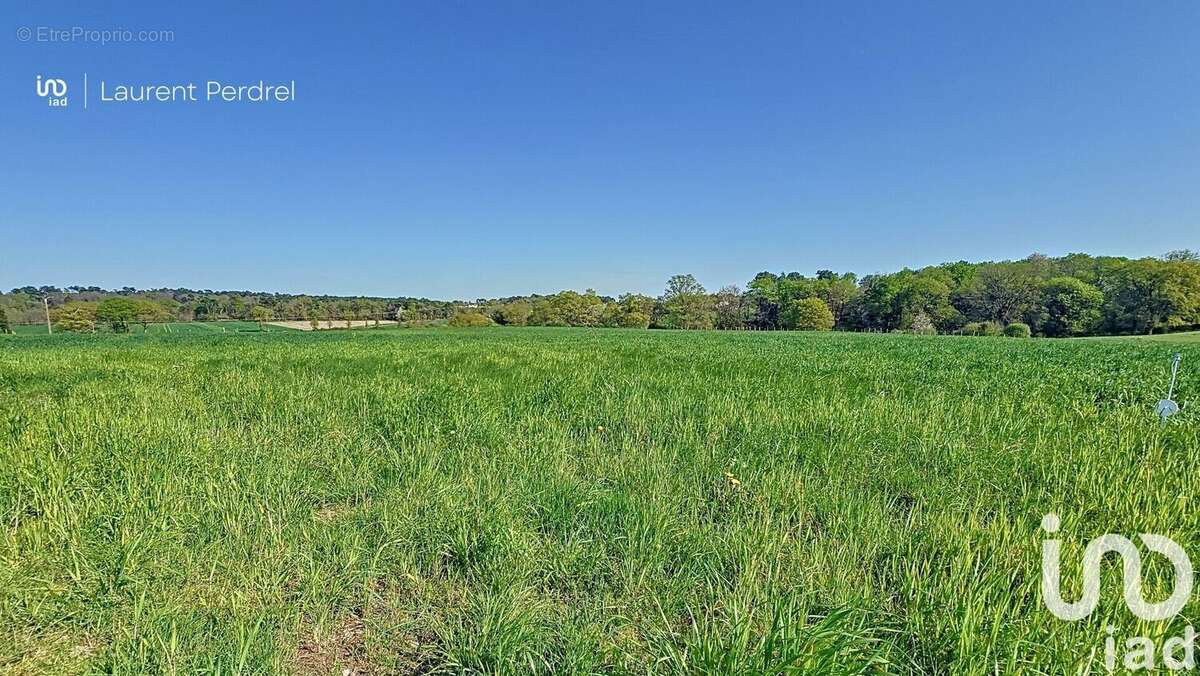 Photo 3 - Terrain à ALLAIRE