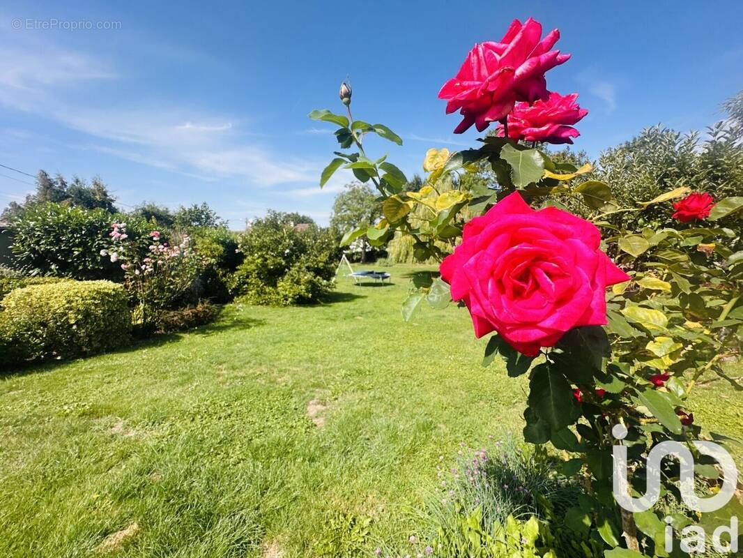 Photo 1 - Maison à SANCY-LES-PROVINS