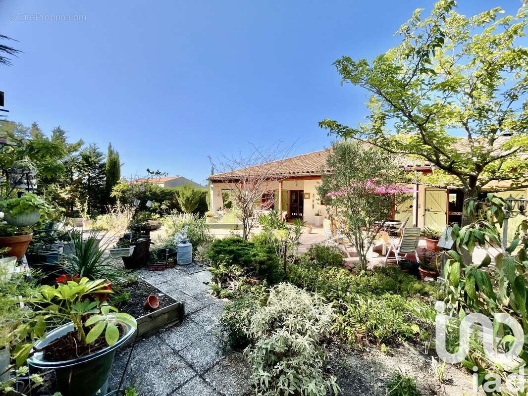 Photo 7 - Maison à MONTBRUN-DES-CORBIERES