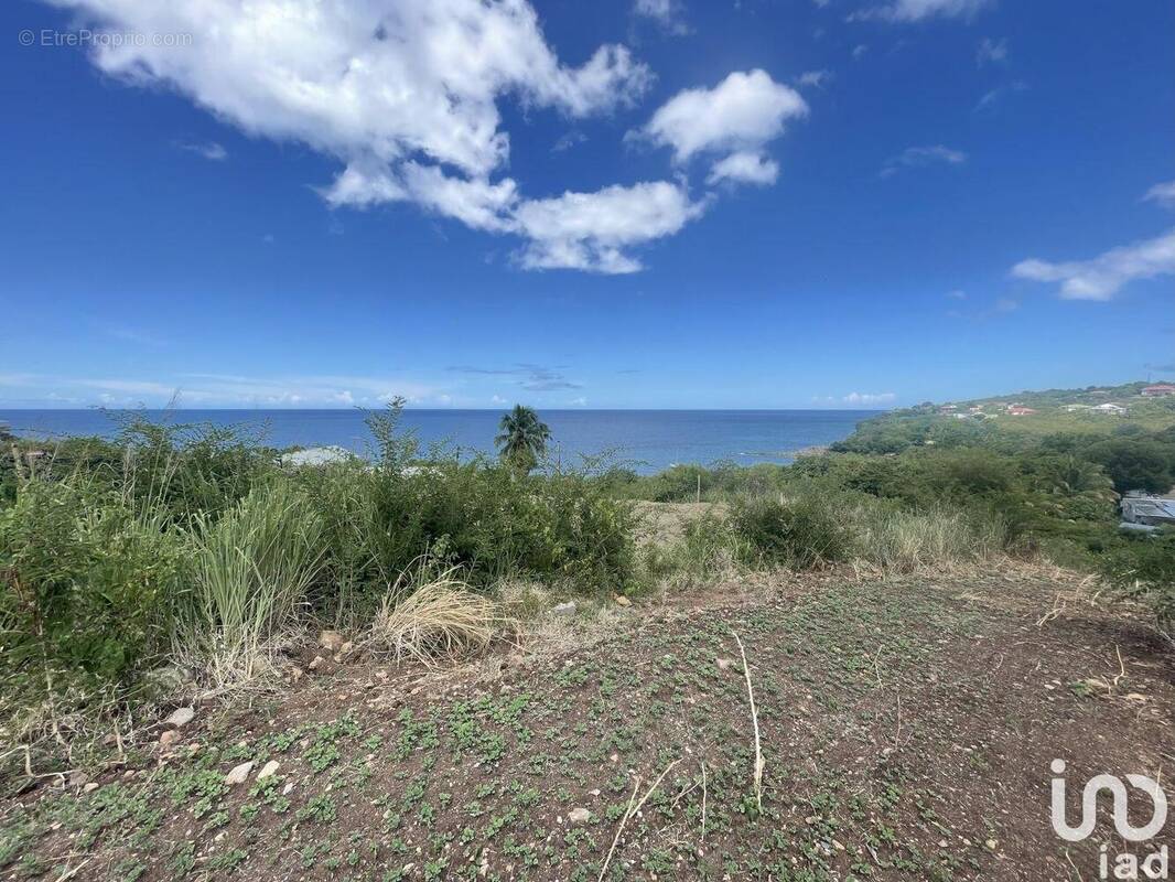 Photo 1 - Terrain à VIEUX-HABITANTS