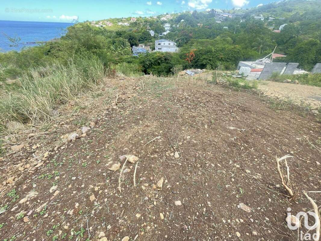 Photo 2 - Terrain à VIEUX-HABITANTS