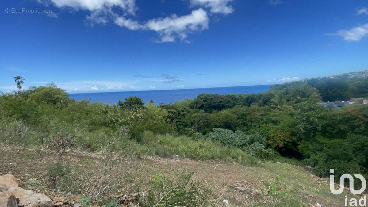 Photo 3 - Terrain à VIEUX-HABITANTS