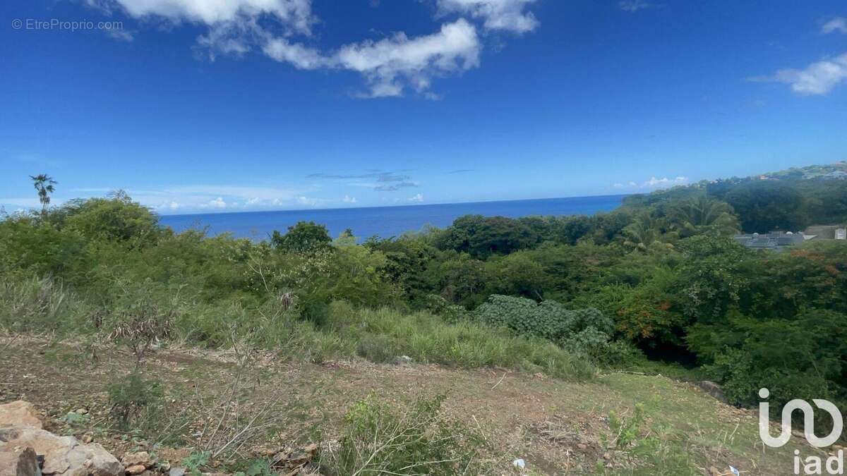 Photo 4 - Terrain à VIEUX-HABITANTS