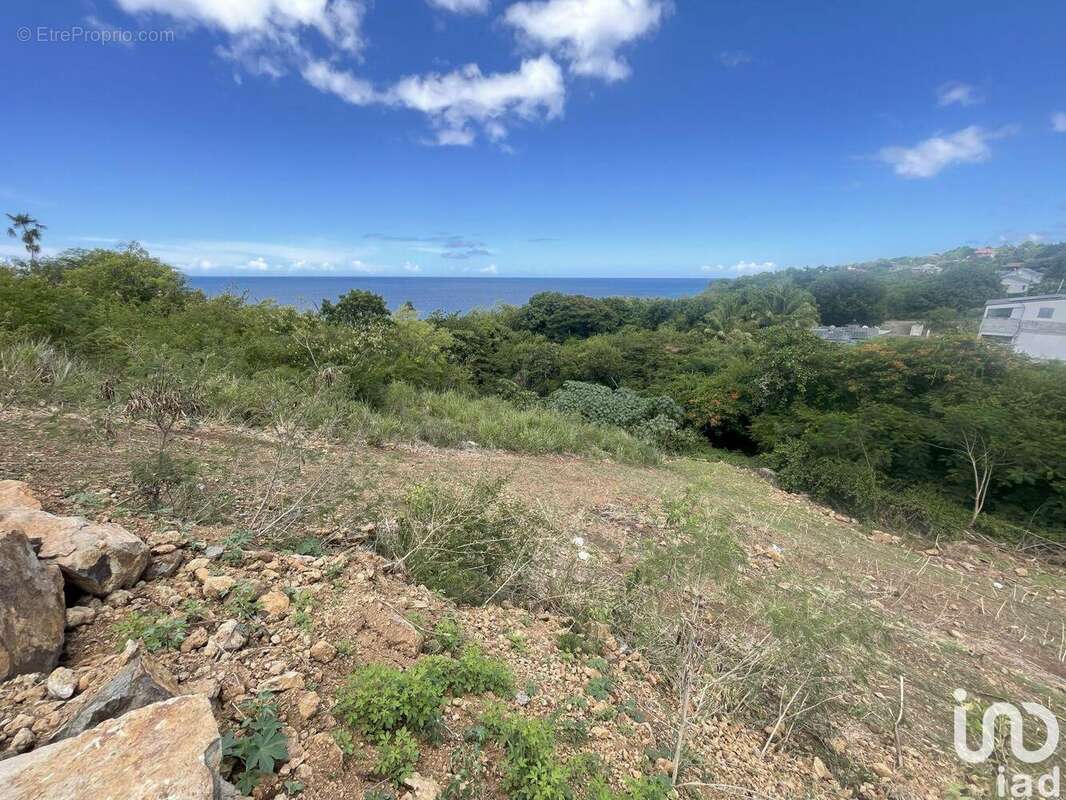 Photo 6 - Terrain à VIEUX-HABITANTS