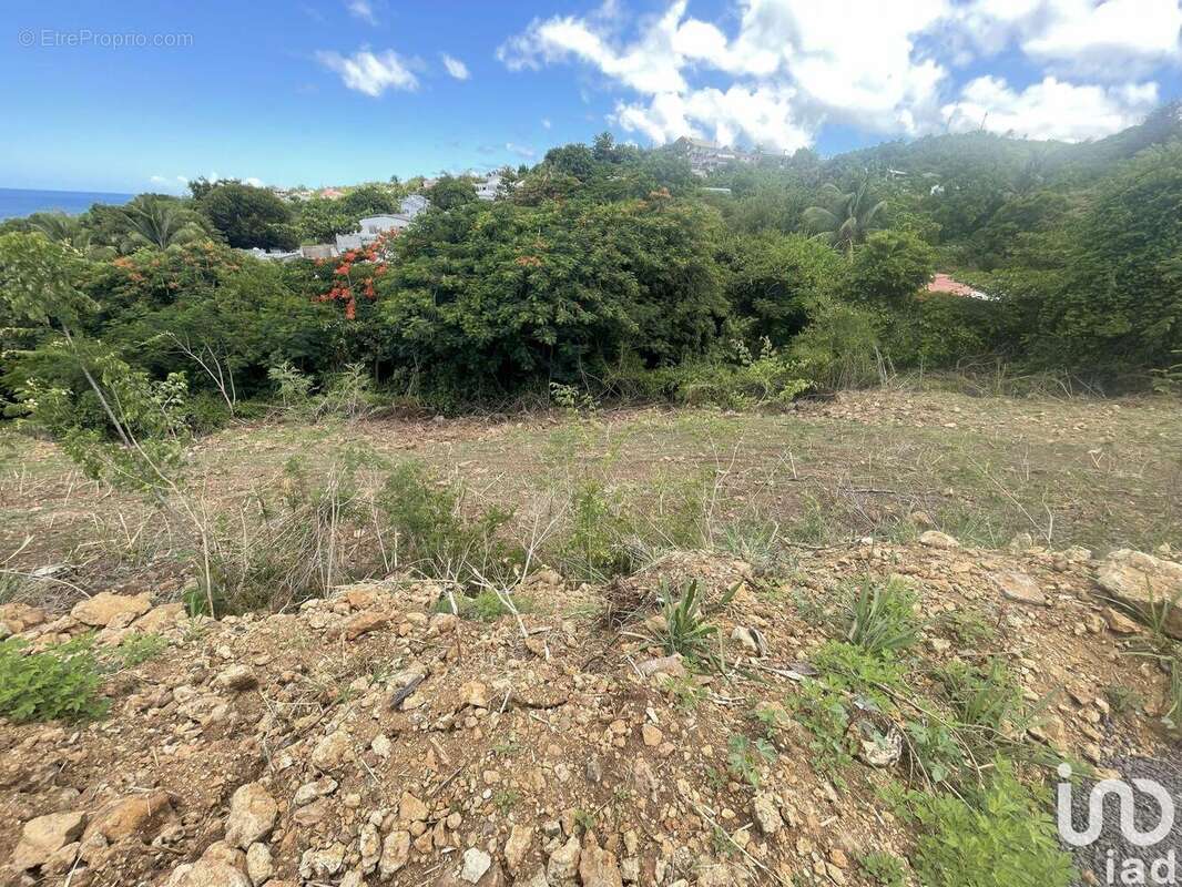 Photo 7 - Terrain à VIEUX-HABITANTS