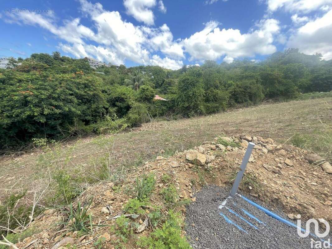 Photo 8 - Terrain à VIEUX-HABITANTS