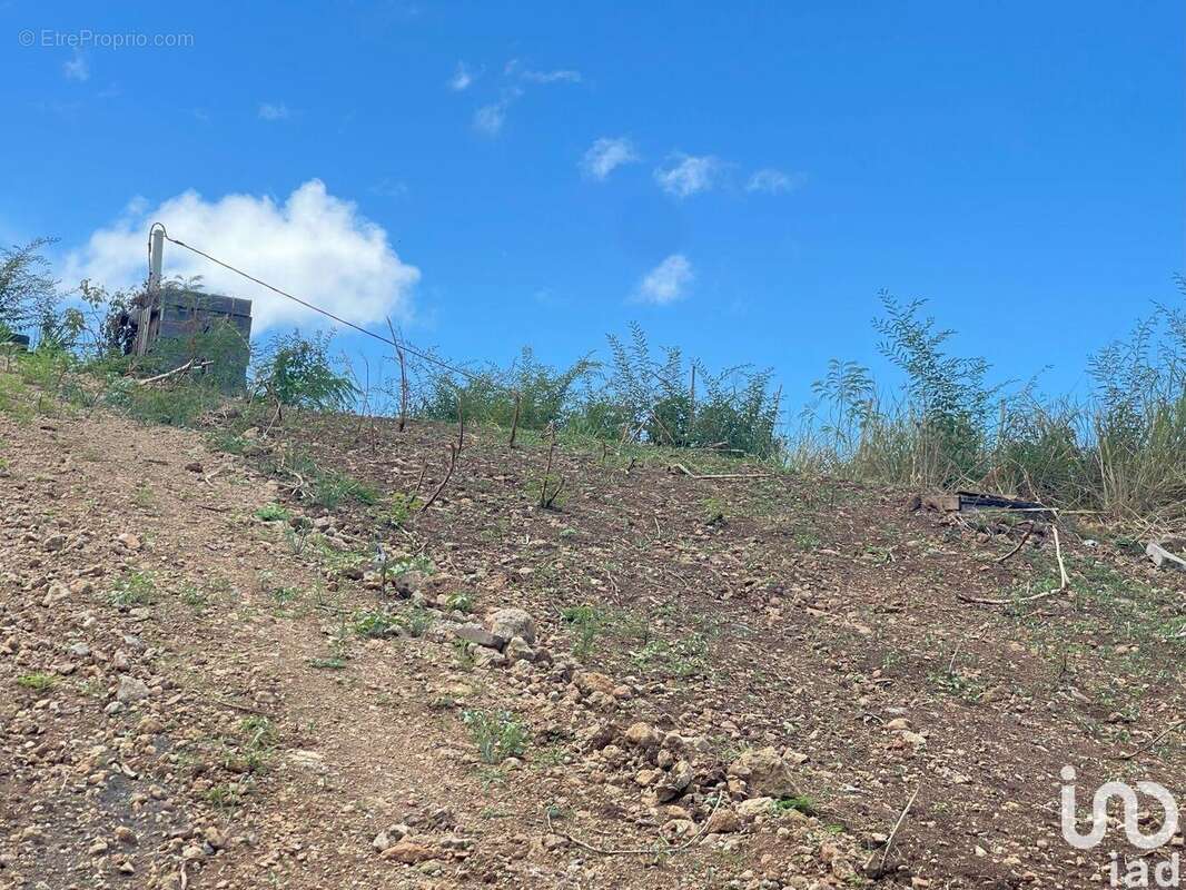 Photo 9 - Terrain à VIEUX-HABITANTS