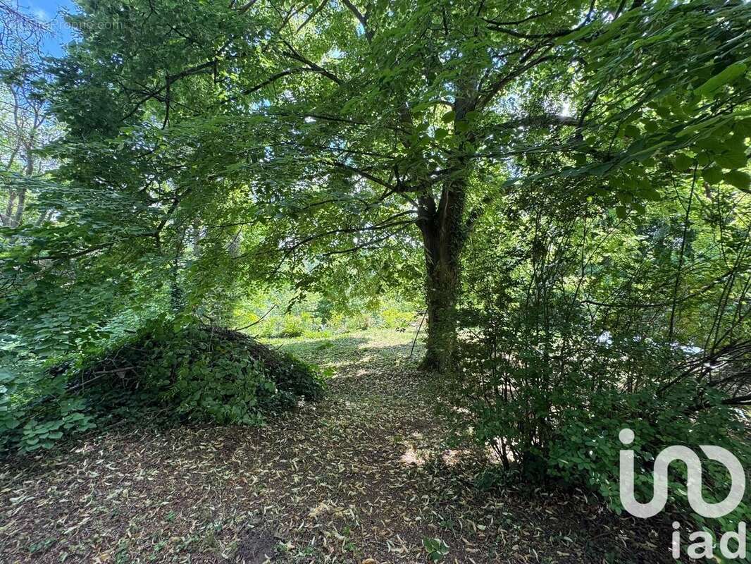 Photo 2 - Maison à LUZARCHES