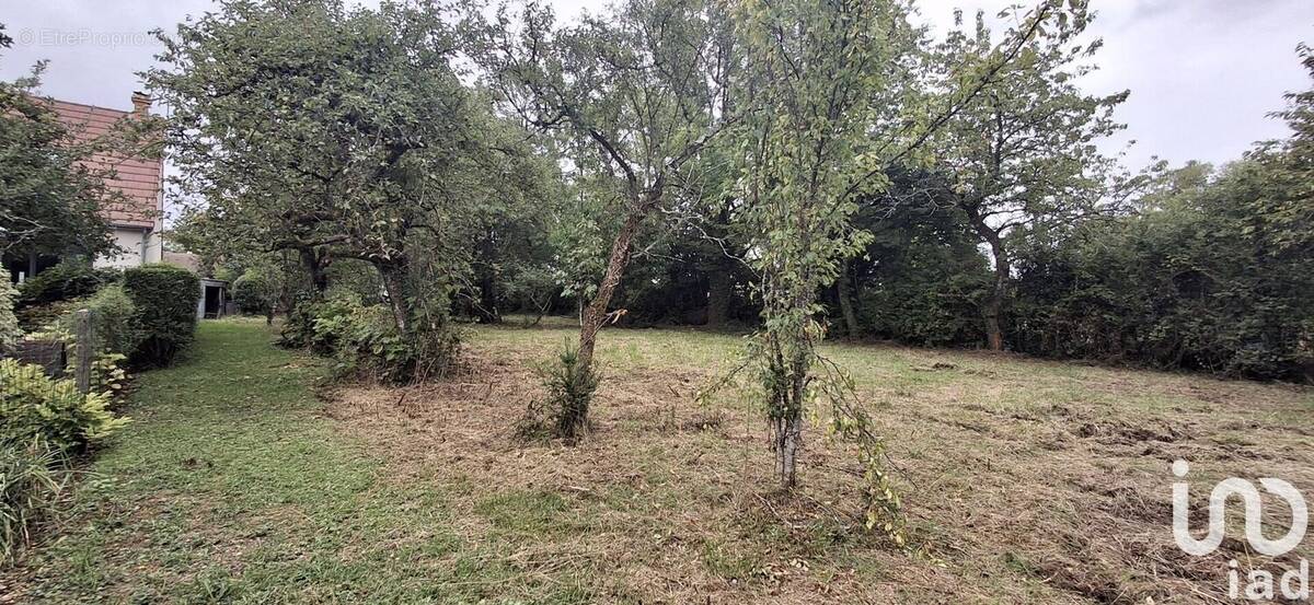 Photo 1 - Terrain à LES AIX-D&#039;ANGILLON